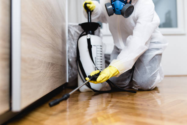 Best Pest Prevention Services  in Davis, OK