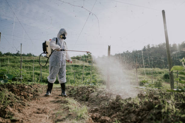 Best Commercial Pest Control Services  in Davis, OK