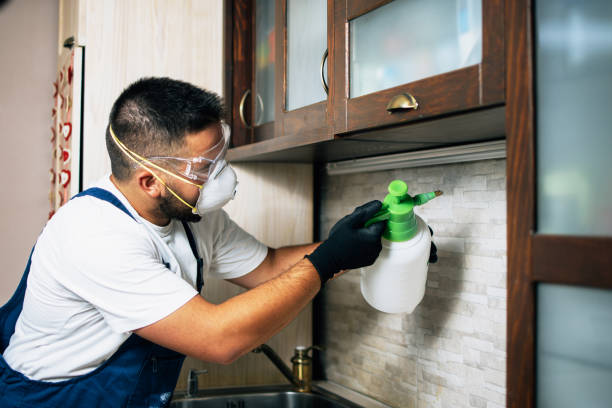 Best Pest Removal Services  in Davis, OK