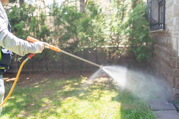 Best Pest Inspection Near Me  in Davis, OK