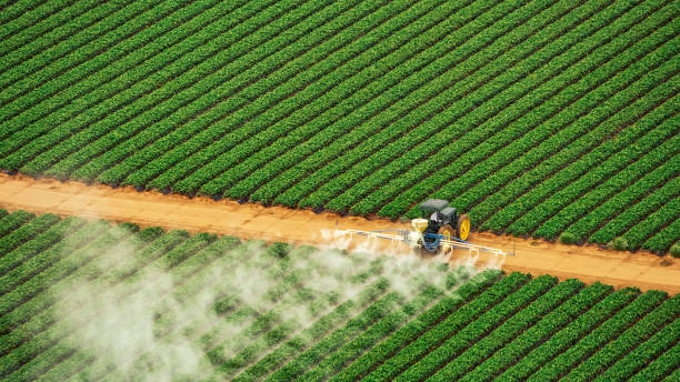 Best Mosquito Control Services  in Davis, OK