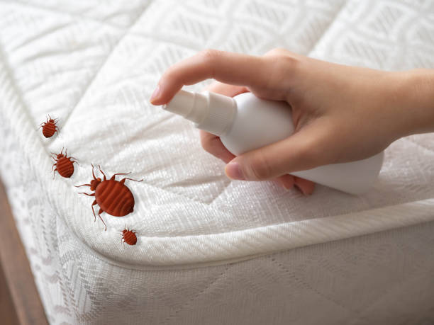 Best Best Pest Control Companies  in Davis, OK