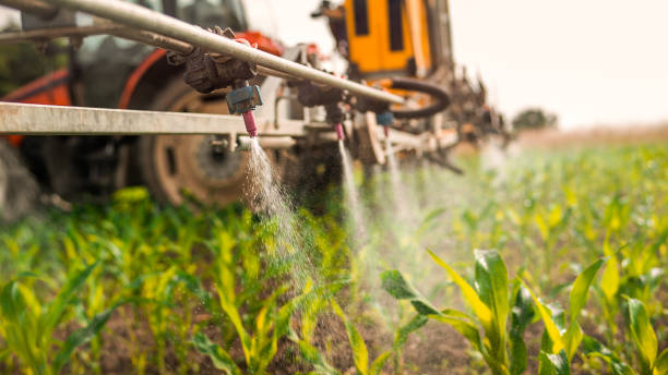 Pest Control Cost in Davis, OK